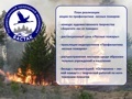 Стартует акция по профилактике лесных пожаров