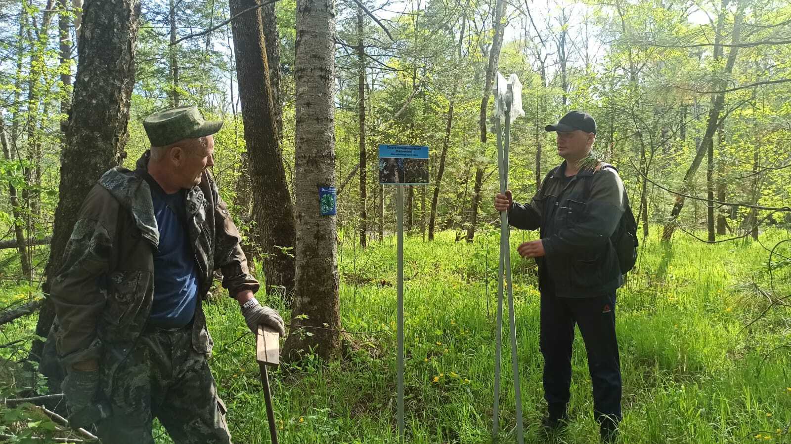 В заповеднике 